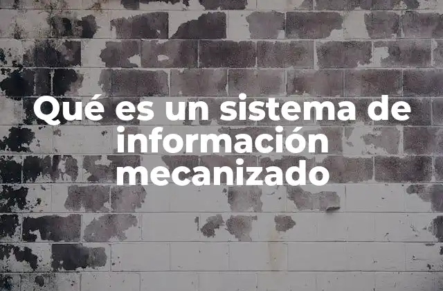 Qué es un Sistema de Información Mecanizado