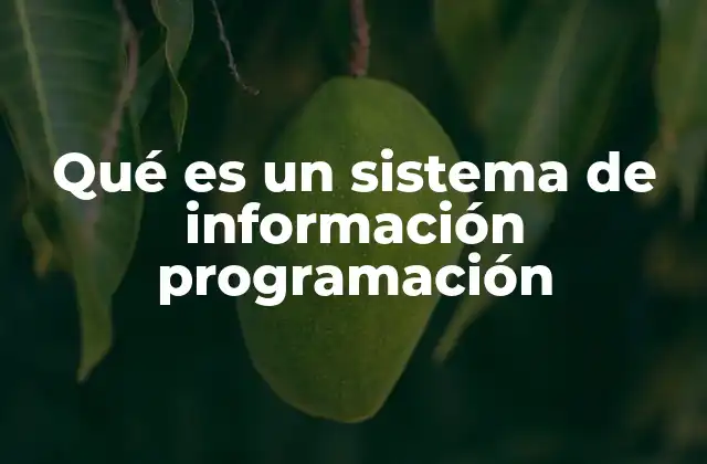 Qué es un Sistema de Información Programación