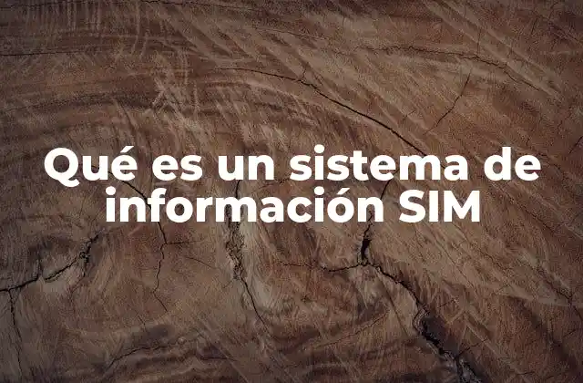 Qué es un Sistema de Información Sim