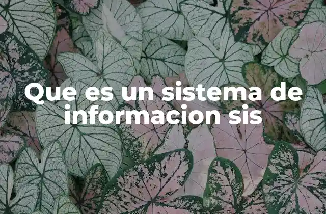 Que es un Sistema de Informacion Sis