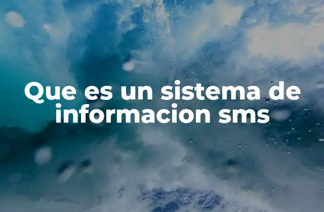 Que es un Sistema de Informacion Sms