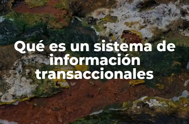 Qué es un Sistema de Información Transaccionales