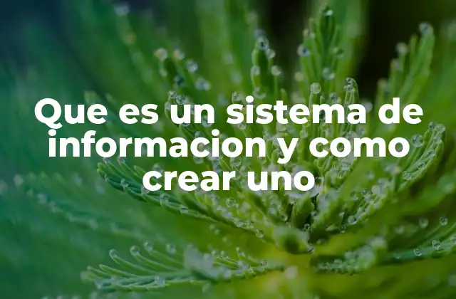 Que es un Sistema de Informacion y como Crear Uno