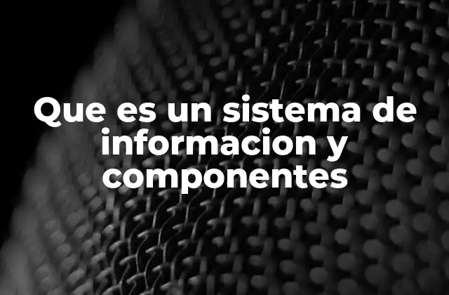 La importancia de la integración en los sistemas de información
