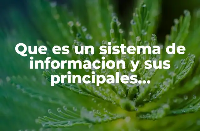 Que es un Sistema de Informacion y Sus Principales Caracteristicas