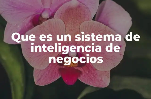 Que es un Sistema de Inteligencia de Negocios 2 La importancia de la toma de decisiones basada en datos