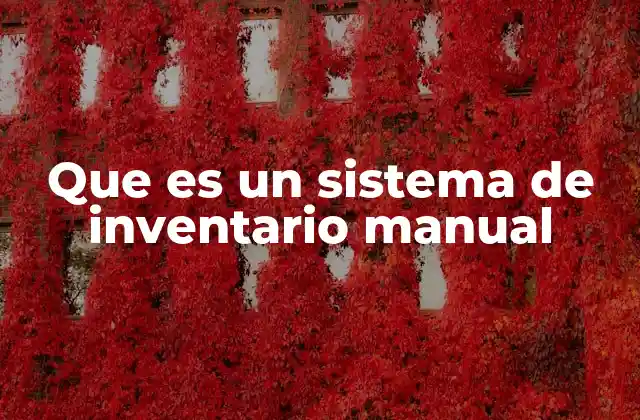 Que es un Sistema de Inventario Manual