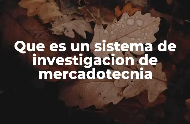 Que es un Sistema de Investigacion de Mercadotecnia