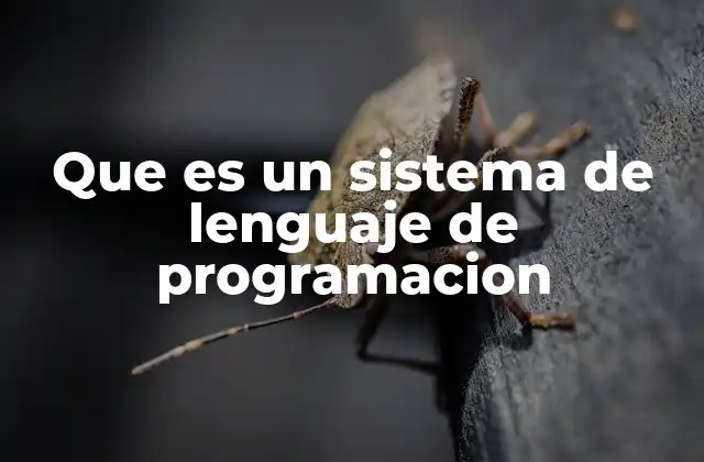 Que es un Sistema de Lenguaje de Programacion