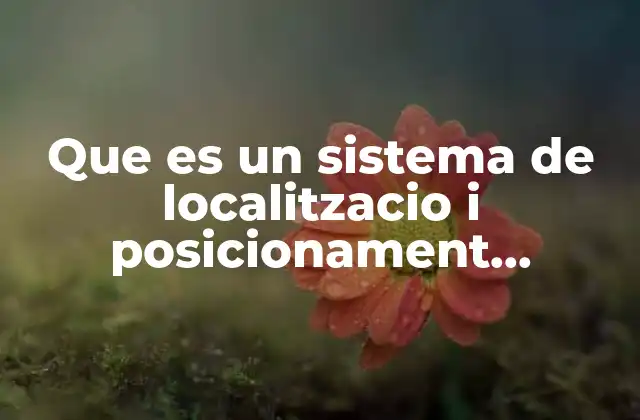 Que es un Sistema de Localitzacio I Posicionament Geografic