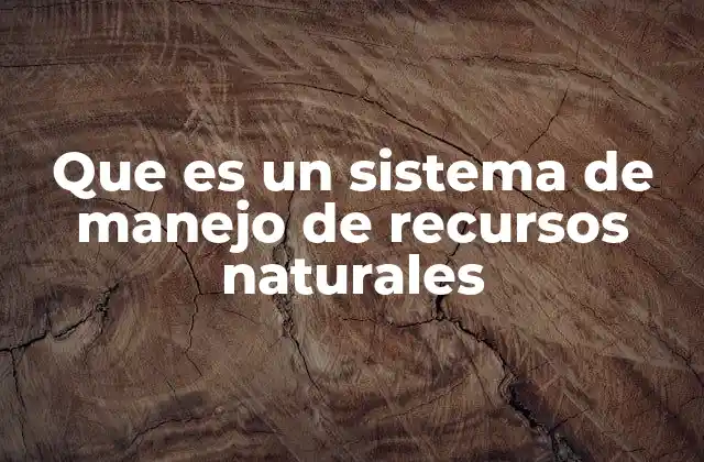Que es un Sistema de Manejo de Recursos Naturales