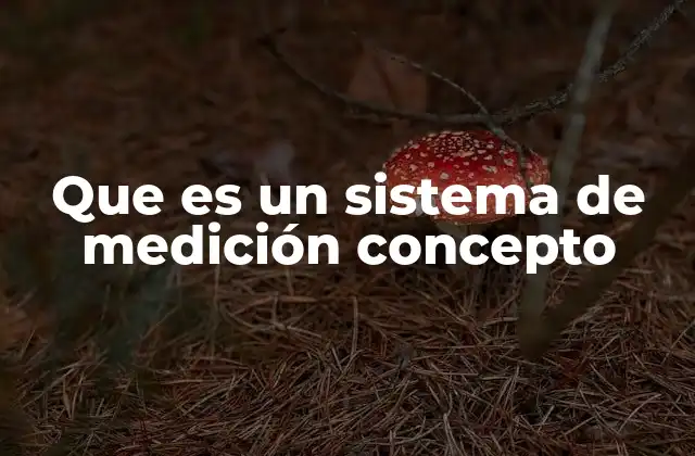 La importancia de los sistemas de medición en la sociedad moderna