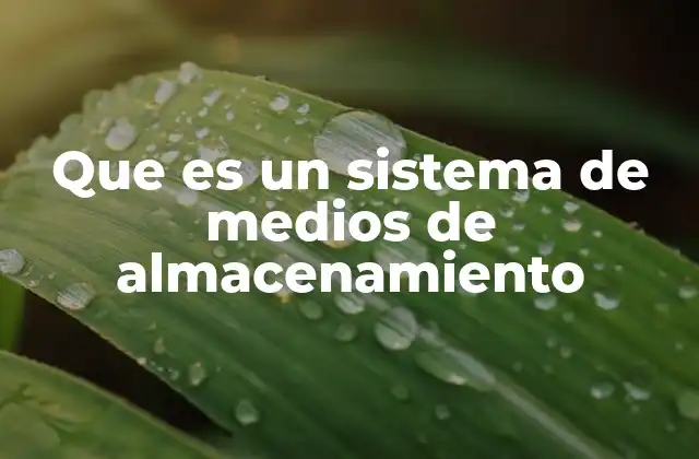 Que es un Sistema de Medios de Almacenamiento