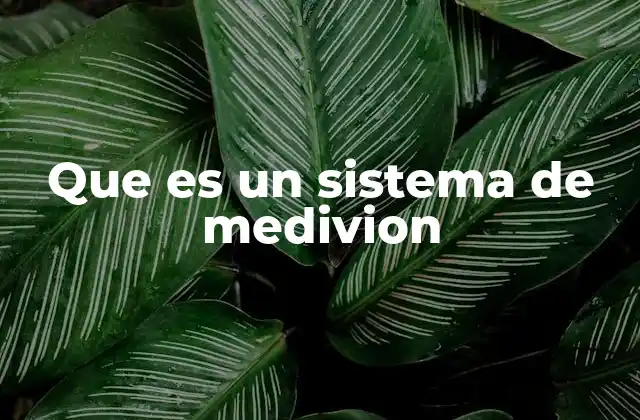 Que es un Sistema de Medivion