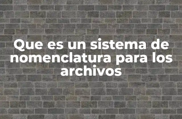 Que es un Sistema de Nomenclatura para los Archivos