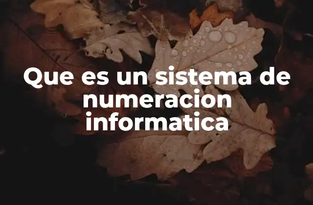 Que es un Sistema de Numeracion Informatica
