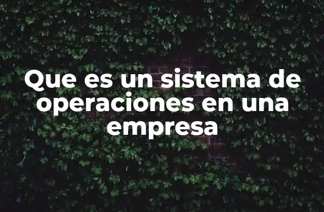 Que es un Sistema de Operaciones en una Empresa