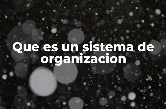 Que es un Sistema de Organizacion
