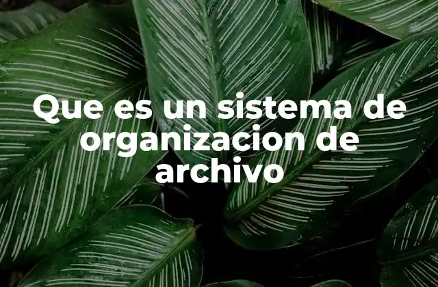 Que es un Sistema de Organizacion de Archivo