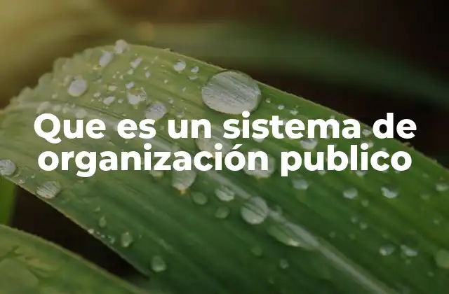 Que es un Sistema de Organización Publico