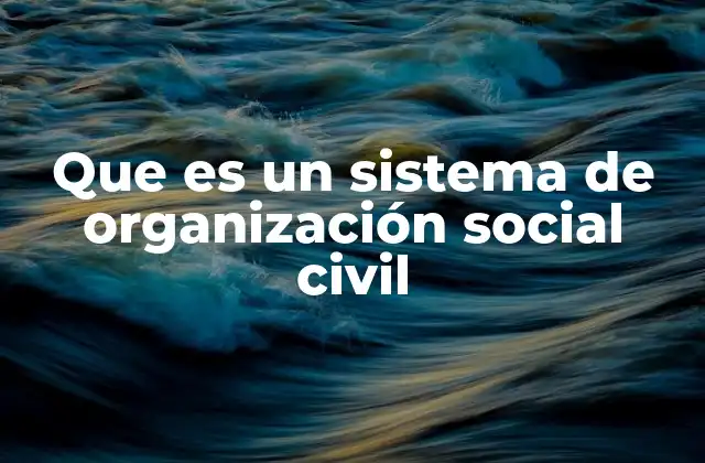 Que es un Sistema de Organización Social Civil