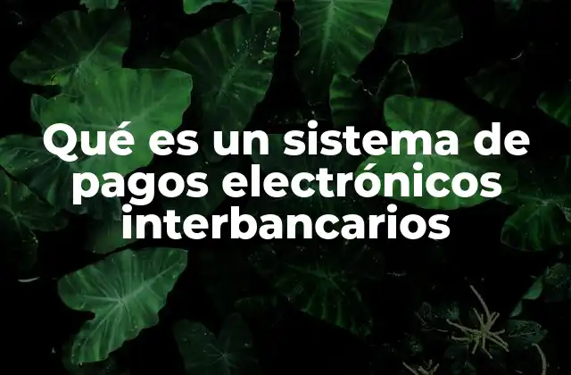 Qué es un Sistema de Pagos Electrónicos Interbancarios