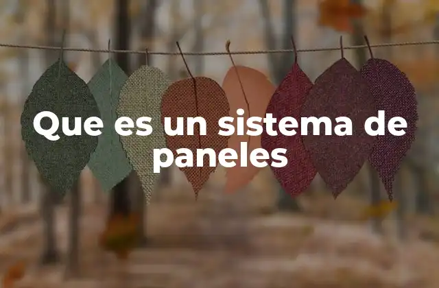 Que es un Sistema de Paneles