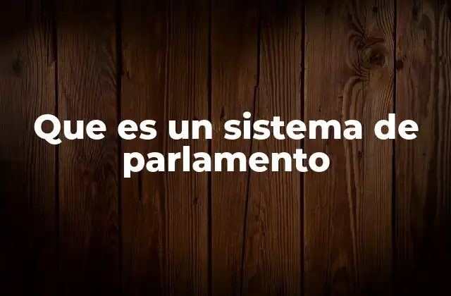 El rol del parlamento en la organización política