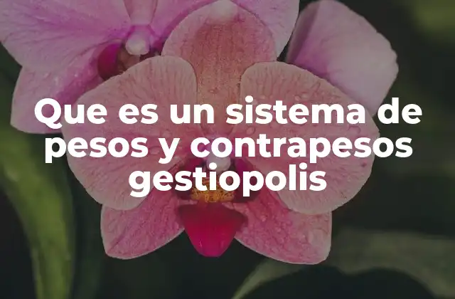 Que es un Sistema de Pesos y Contrapesos Gestiopolis