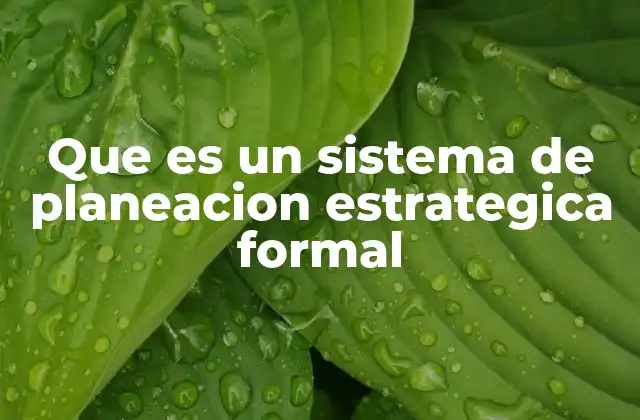 Que es un Sistema de Planeacion Estrategica Formal