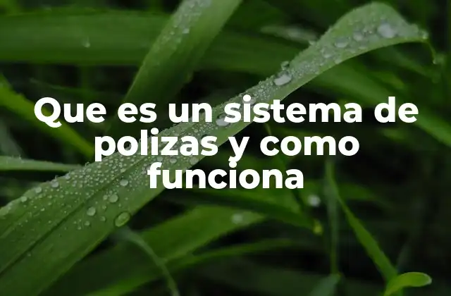 Que es un Sistema de Polizas y como Funciona