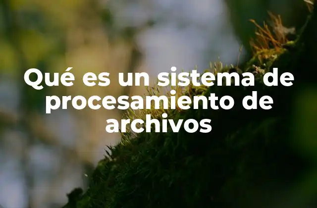 Qué es un Sistema de Procesamiento de Archivos