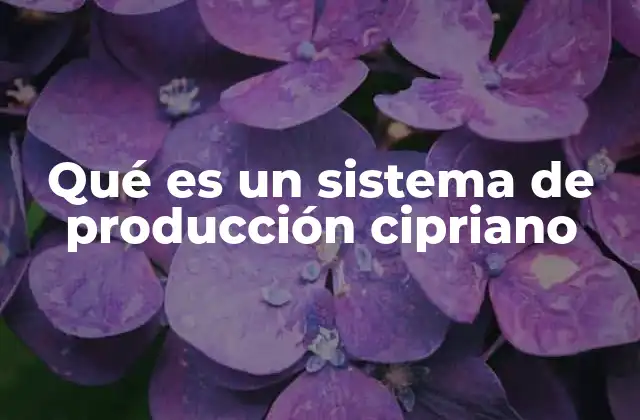 Qué es un Sistema de Producción Cipriano