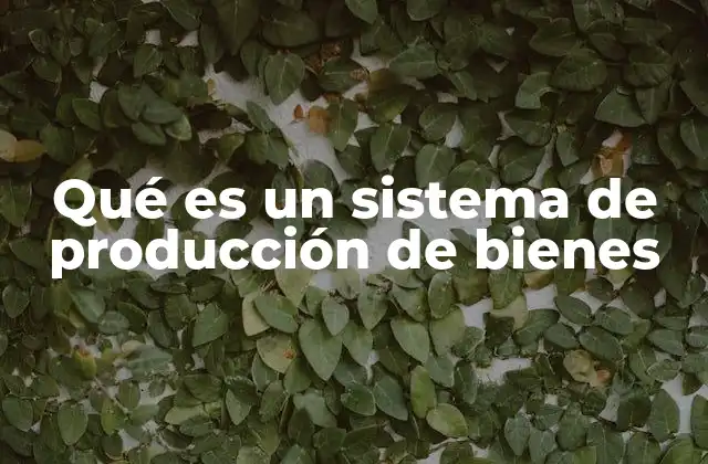 Qué es un Sistema de Producción de Bienes