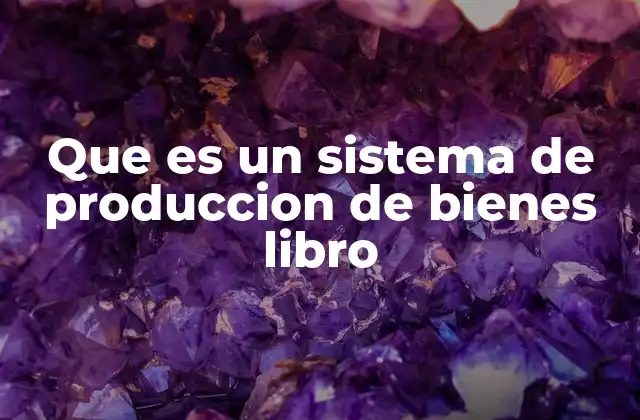 Que es un Sistema de Produccion de Bienes Libro