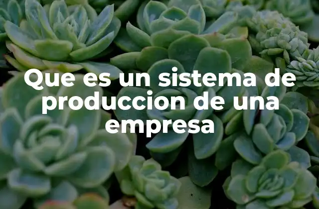 El rol del sistema de producción en la estructura empresarial