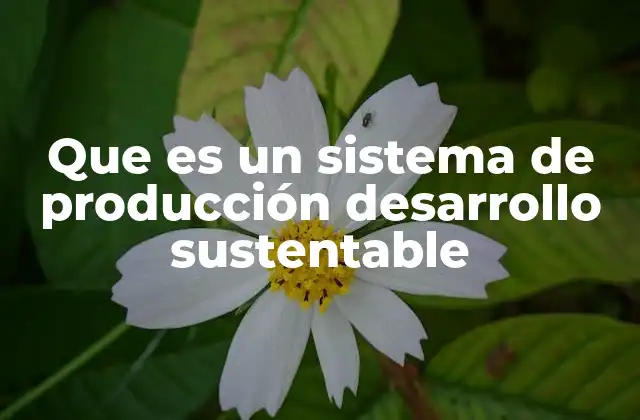 Que es un Sistema de Producción Desarrollo Sustentable