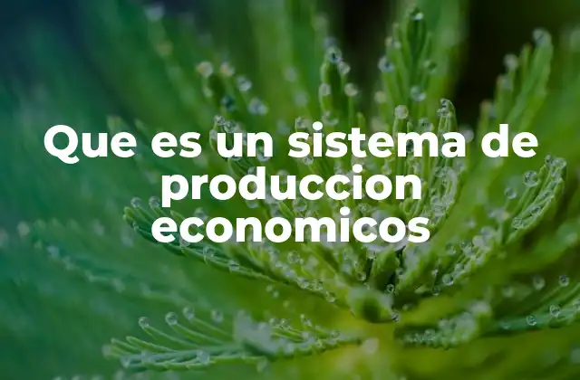 Que es un Sistema de Produccion Economicos