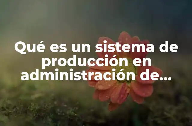 Qué es un Sistema de Producción en Administración de Operaciones