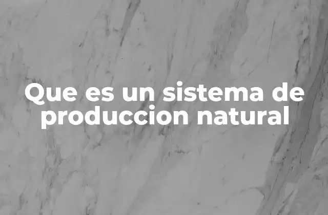 Que es un Sistema de Produccion Natural
