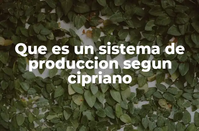 Que es un Sistema de Produccion Segun Cipriano