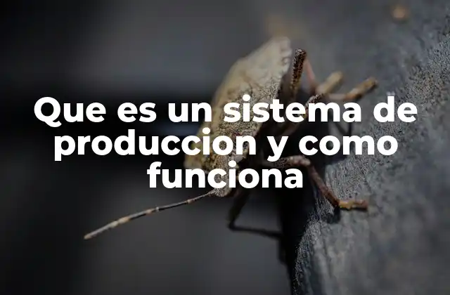 Que es un Sistema de Produccion y como Funciona 2 Componentes esenciales de un sistema productivo