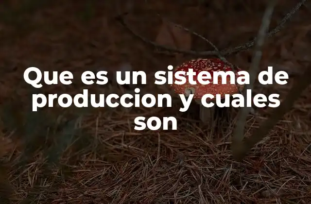 Que es un Sistema de Produccion y Cuales Son