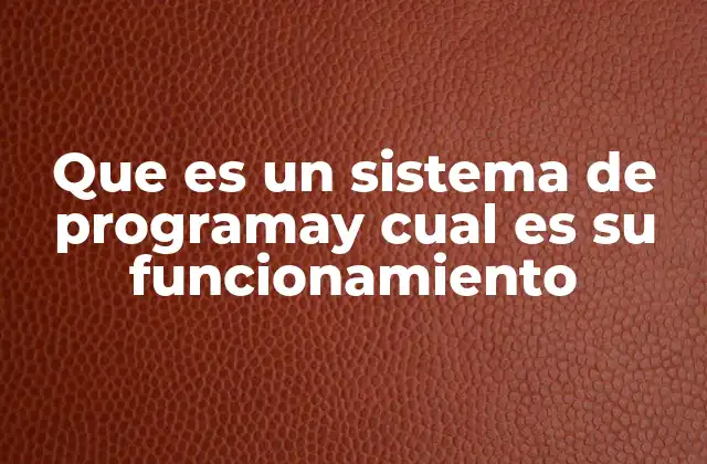 Que es un Sistema de Programay Cual es Su Funcionamiento