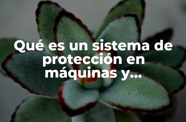 Qué es un Sistema de Protección en Máquinas y Herramientas