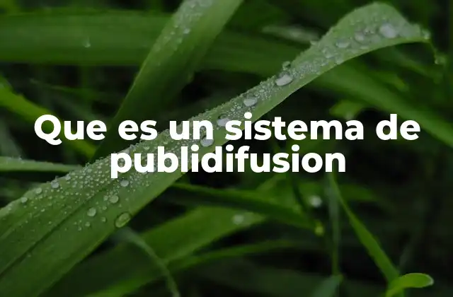 Que es un Sistema de Publidifusion