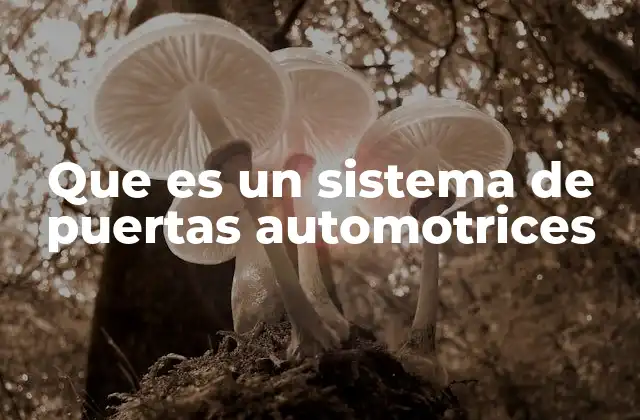 Que es un Sistema de Puertas Automotrices