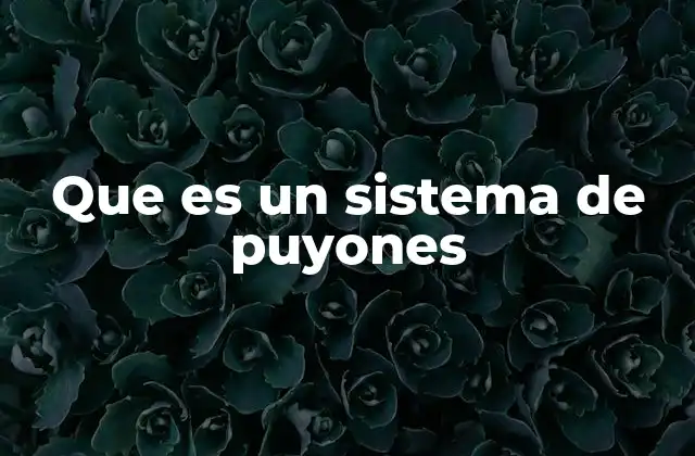 Que es un Sistema de Puyones