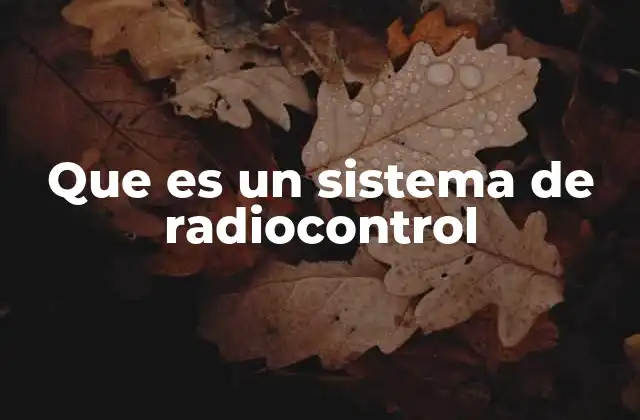 Que es un Sistema de Radiocontrol
