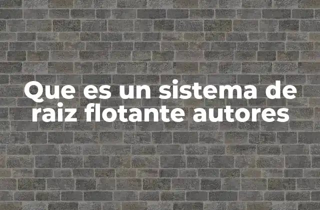 Que es un Sistema de Raiz Flotante Autores